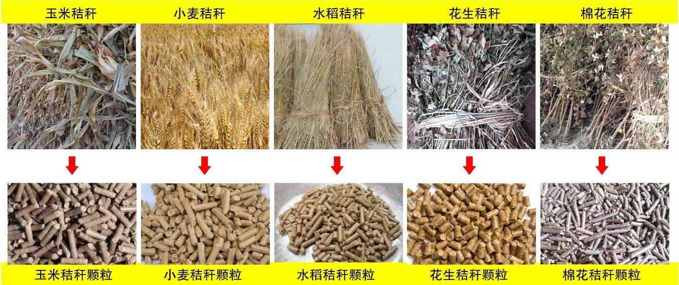 玉米秸稈、小麥秸稈等原材料